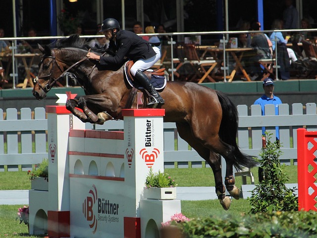 式充分表明 式充分表明