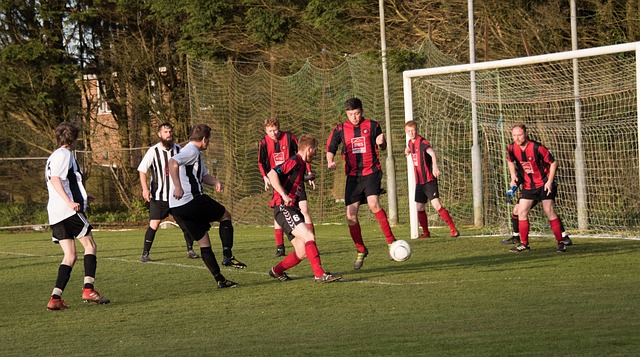 以及对环境 以及对环境