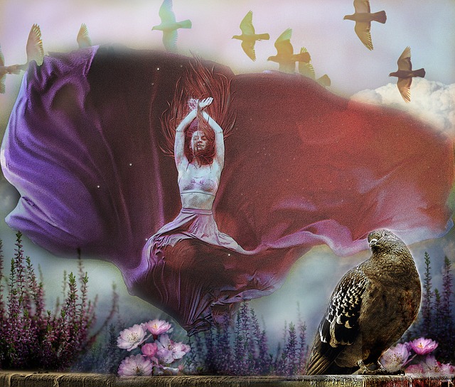 我们可以学 我们可以学